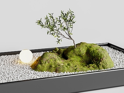 现代微地形 室内景观 微景观 庭院小品 花坛 苔藓