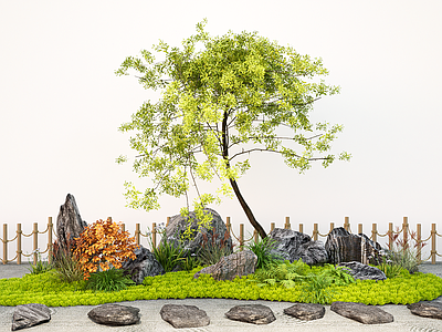 植物组合 现代乔木 造型树 植物地形 汀步石头 景观树