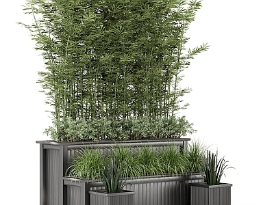 花草组合 植物树 竹子 盆栽 户外植物竹