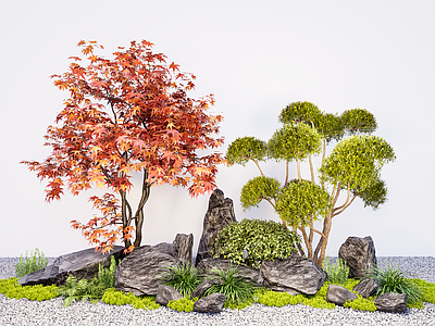 植物组合 庭院植物组合 植物造景 多头造型树 枫树 创意石块石头