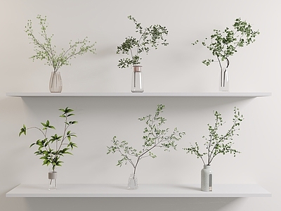 水生植物 绿植 水生植物 绿植摆件 植物
