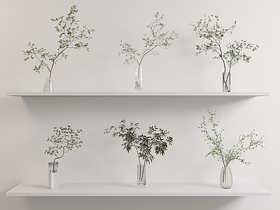 水生植物 植物 绿植摆件 摆件 水生植物