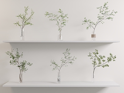 水生植物 水生植物 摆件 绿植 绿植摆件