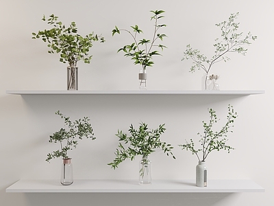 水生植物 绿植 摆件 水生植物