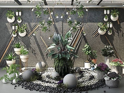 现代景观植物