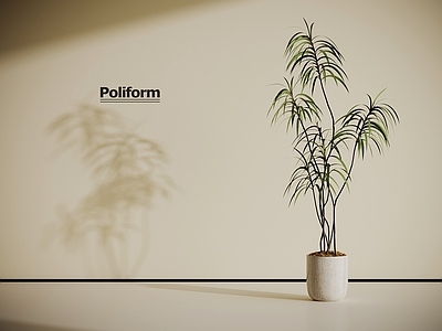 盆栽 中古风绿植盆栽