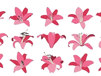 现代花 百合花 施工图
