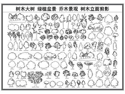 现代综合植物图库 树木大树 景观绿植 绿化植物 植物盆景 乔木景观 施工图