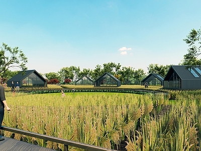 现代乡村公园 自然景观 稻田景观 民宿景观 露营营地