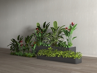 花箱 花箱 外摆绿植花 植物堆 植物盆栽 花草 花池花