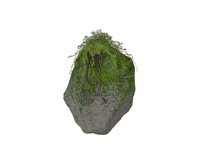 现代石头 苔藓岩石 爬藤山石