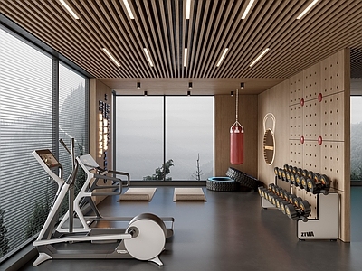 现代健身房 现代健身房