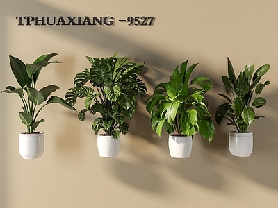 盆栽 绿植 盆栽