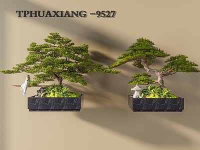 其他树木 松树 室内松树