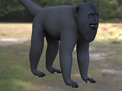 爬行类动物 黑吼猴 动物 生物