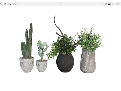 盆栽 盆栽植物绿植 热点植物仙人掌