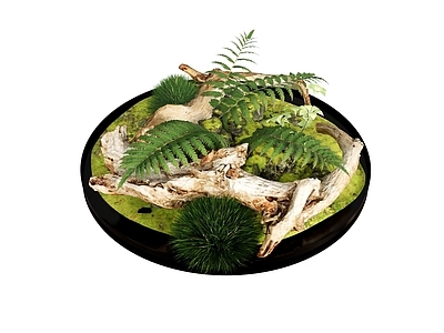 盆栽 盆栽植物绿植盆景 绿叶枯枝枯树