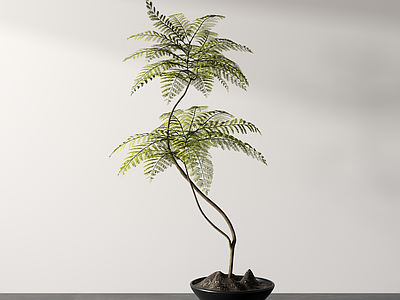 盆栽 绿植摆件