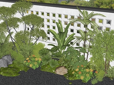 植物组合 灌木 花境 植物造景 花草 植物堆