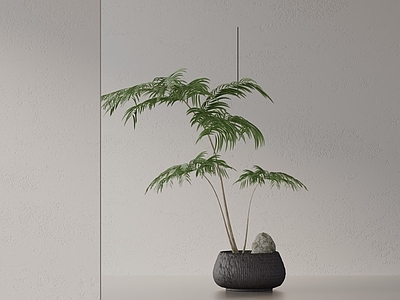 盆栽 现代盆栽
