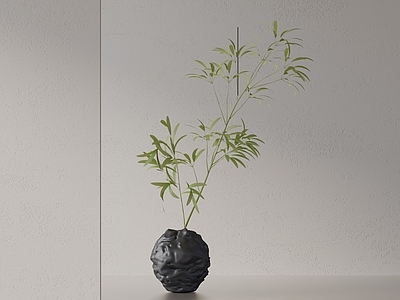 盆栽 现代盆栽