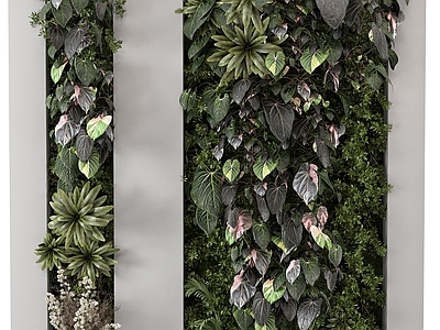 绿植墙 绿植墙 植物墙