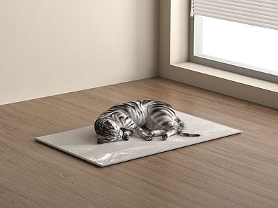 猫 爬行类动物 现代宠物猫