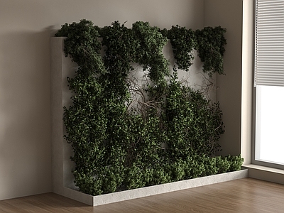 藤蔓 藤蔓 现代藤蔓 爬山虎 植物墙