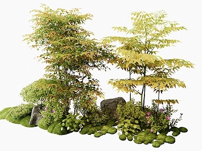竹子 南天竹 灌木 植物堆 花境 花草