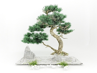 现代办公桌 现代风格植物