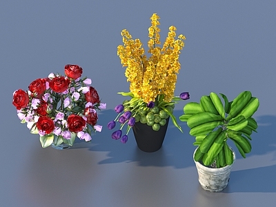 现代花钵 花卉 花艺摆件