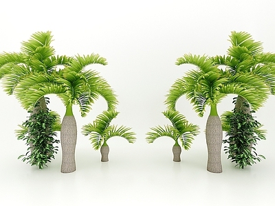 现代佛龛 植物