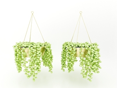 现代佛龛 植物盆栽