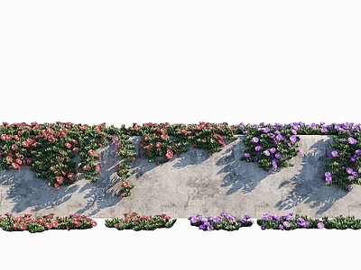 现代佛龛 縢蔓植物墙日中花冰花果