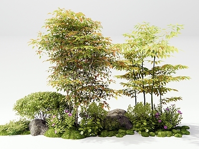 灌木 南天竹 植物堆 花草 花境 植物造景