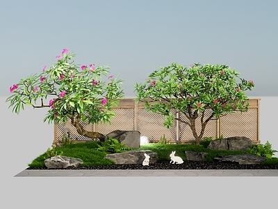 植物组合 鸡蛋花 斜飘 弯杆 开花植物 灌木