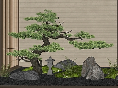 植物组合 植物组合