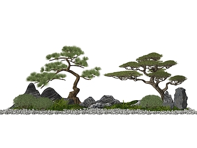 植物组合 罗汉松组合