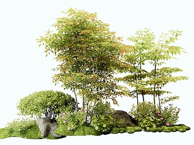 灌木 南天竹 植物堆 花草 花境 植物造景