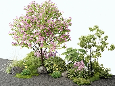 植物堆 紫荆花 灌木 花草 花境 紫薇树