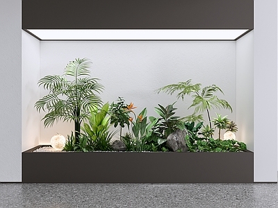 植物组合 现代景观造景 室内景观植物堆 景观绿植 庭院绿植 月球灯