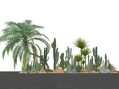植物组合 热带植物
