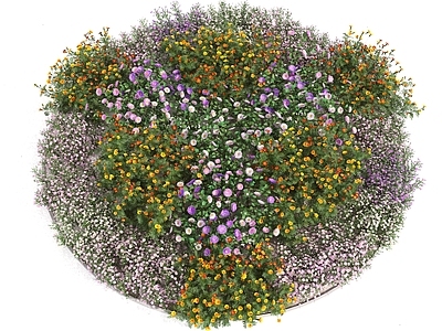 花草组合 花 花花组合