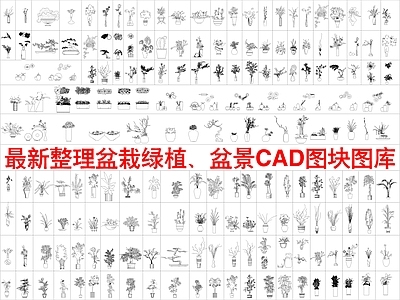 现代绿植 室内盆栽绿植图块 施工图