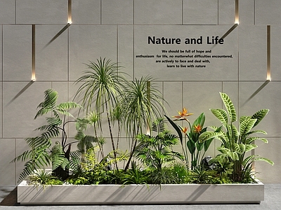 植物堆 景观造景 庭院景观 植物组合 室内景观 庭院小品