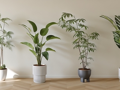 盆栽 盆栽 植物 绿植 植物堆 罗汉松