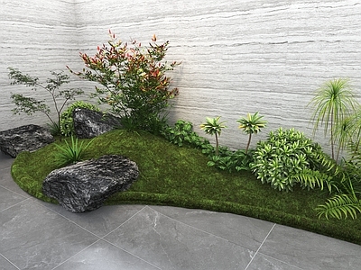 植物组合 现代室内花坛 树池植物组合 民宿别墅植物景观 南天竺 植物组合
