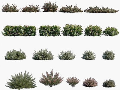 办公桌 现代植物树木灌木