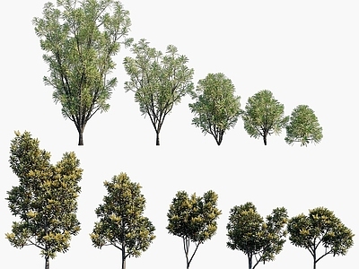 办公桌 现代植物树木