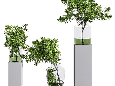 现代佛龛 现代玻璃瓶水生植物
